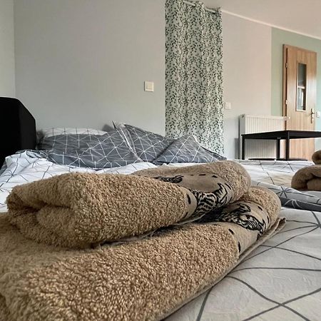 Apartament U Waldka メヘリンキ エクステリア 写真